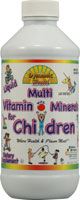 Dynamic Health Liquid Multi Vitamin with Minerals for Children